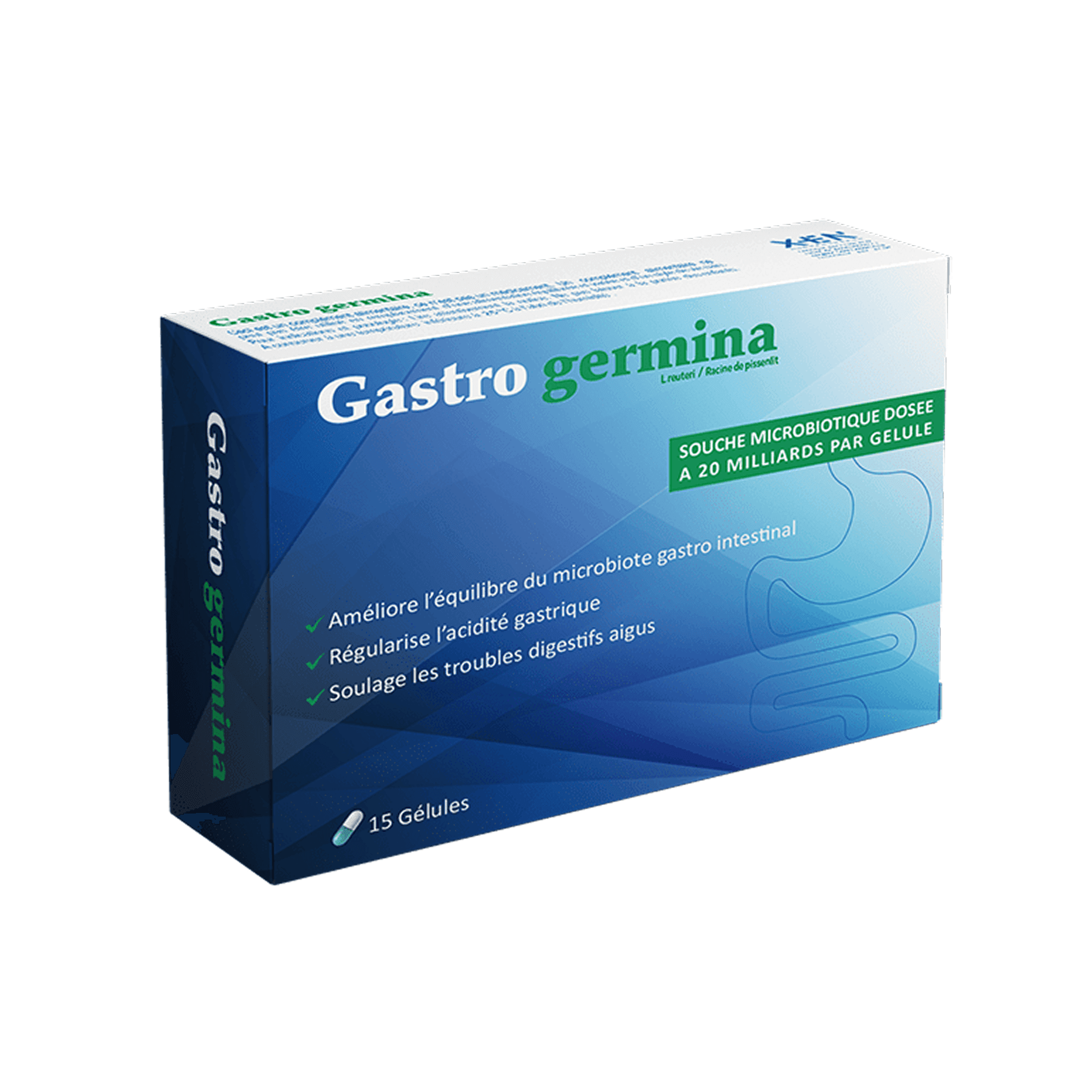 Gastro Germina Confort Gastrique Gelules B/15