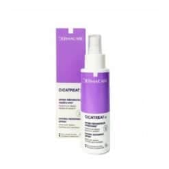 Dermacare Cicatreat Zn Spray Assechant 100ml