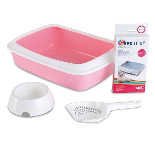 Kit Chaton Rose