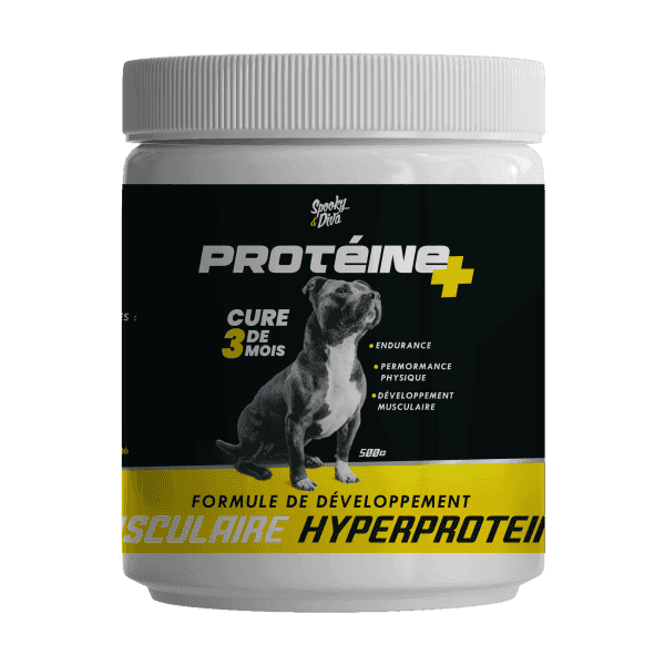 S D Proteine Plus 500g