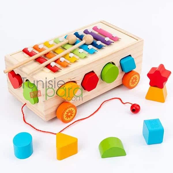 Jouet: Shape Matching Car Et Xylophone