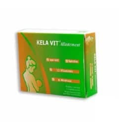 Xen Kela Vit Allaitement 45 Gelules