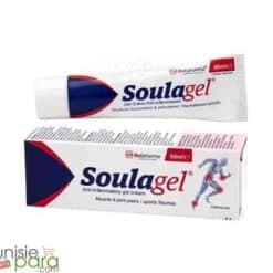 Soulagel GEL Creme Anti-inflammatoire 50ml