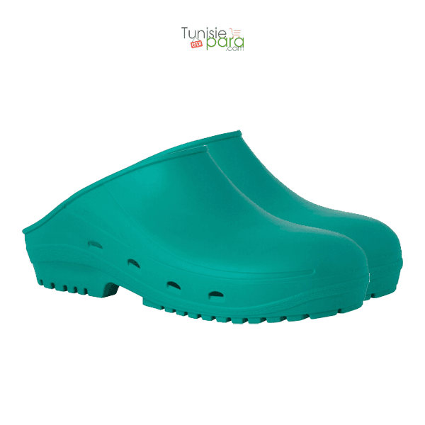 Sabot Autoclavable (vert) Taille 40