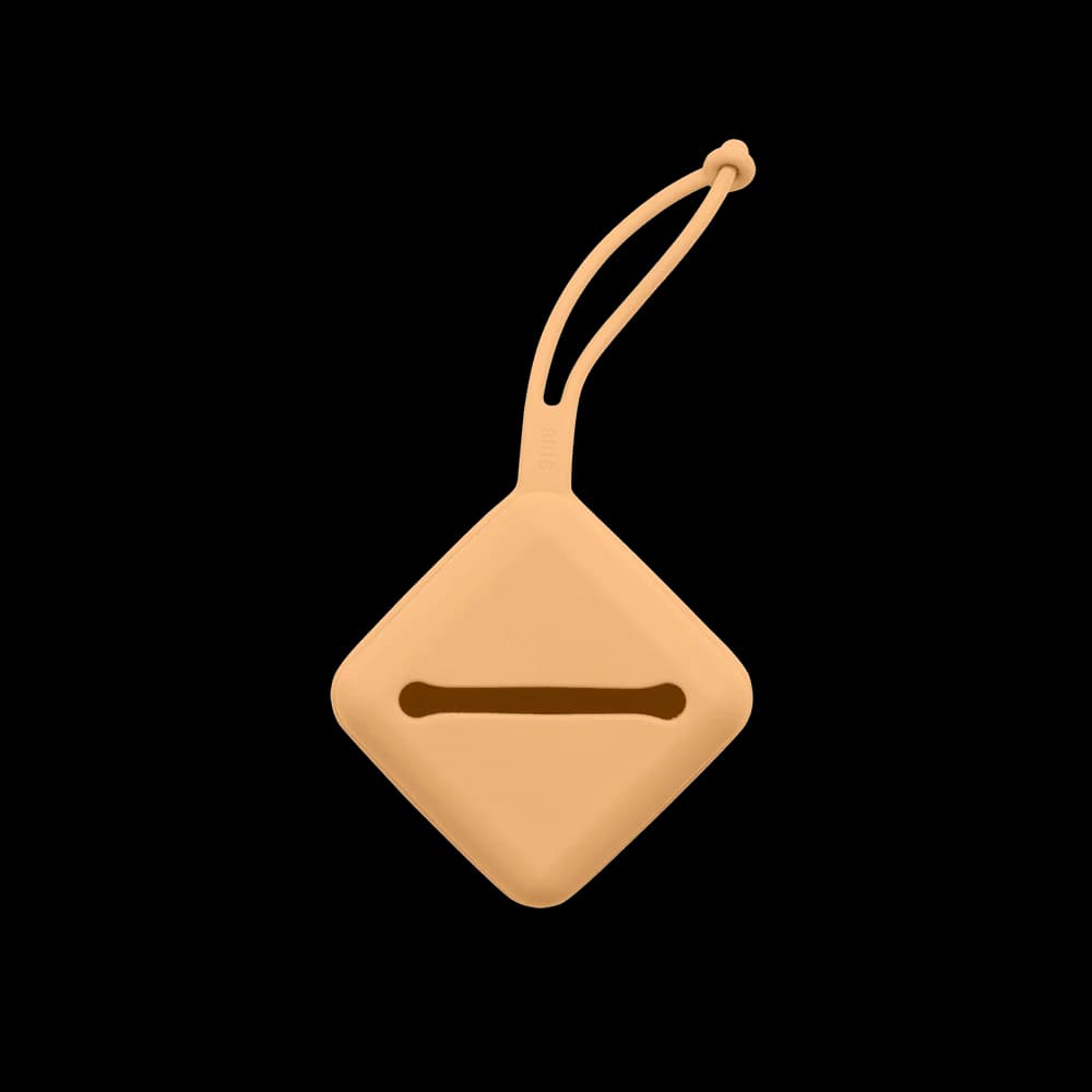 Bibs Boite A Tetine Pumpkin