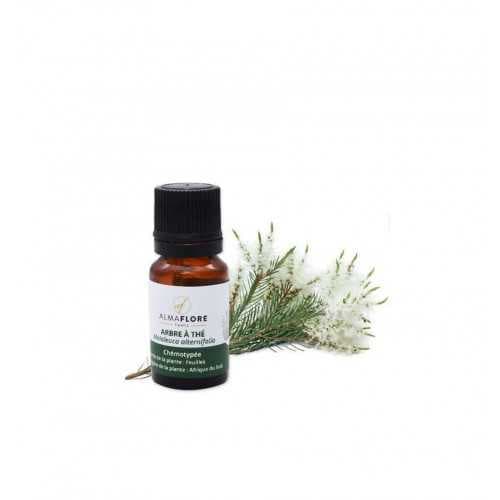 Almaflore Huile Essentielle Arbre A The 10ML