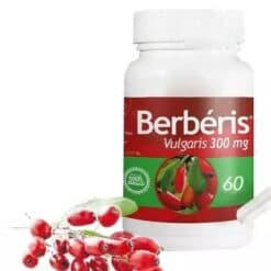 Berberis Vulgaris 60 Gellules