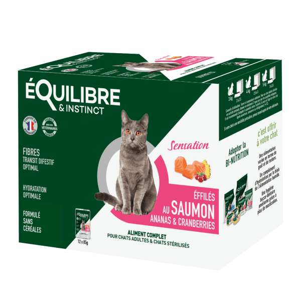 E I Effiles Sensation Saumon Ananas Cranberries 12x85g