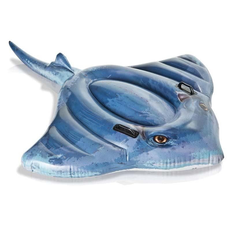 Jouet : Poisson Raie Manta Gonflable Intex 57550