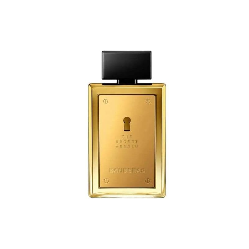 Antonio Banderas The Secret...