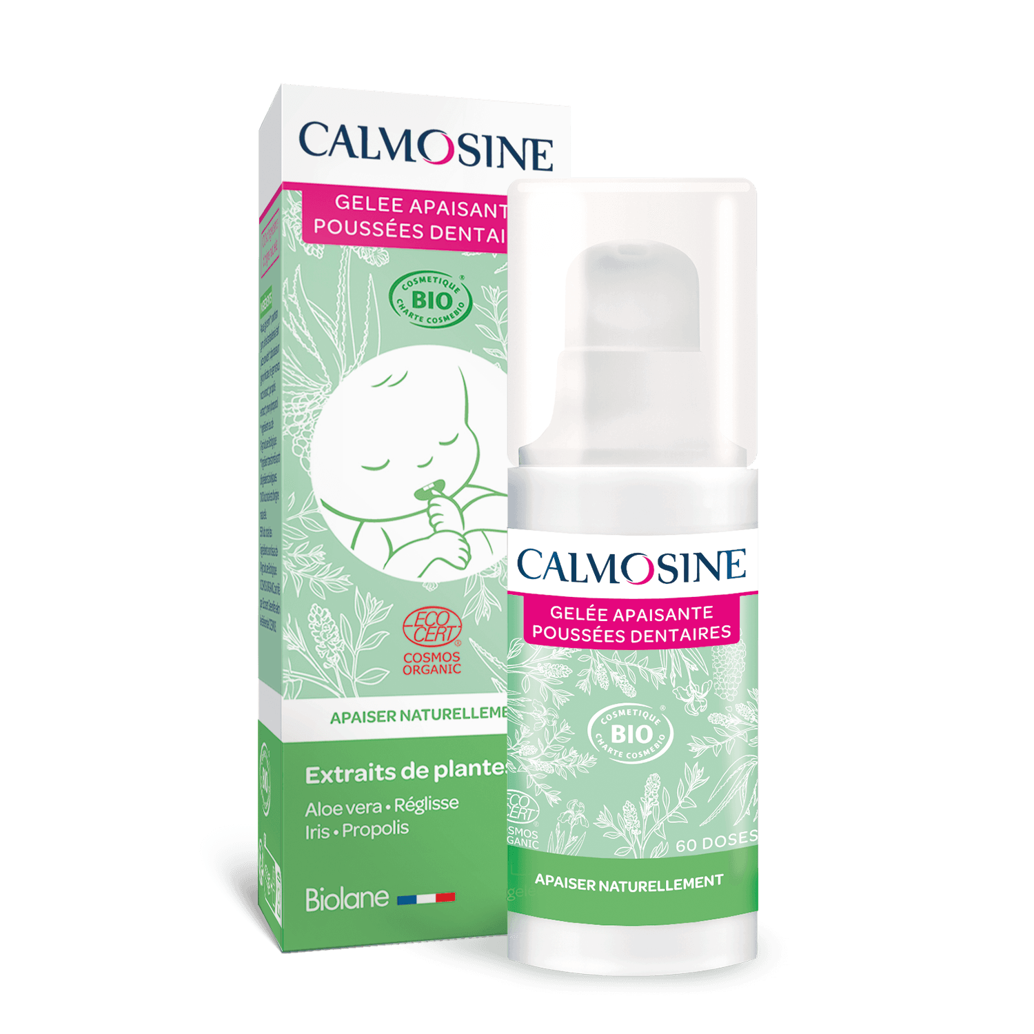 Calmosine Gelee Apaisante Poussees Dentaires Bio 15ml